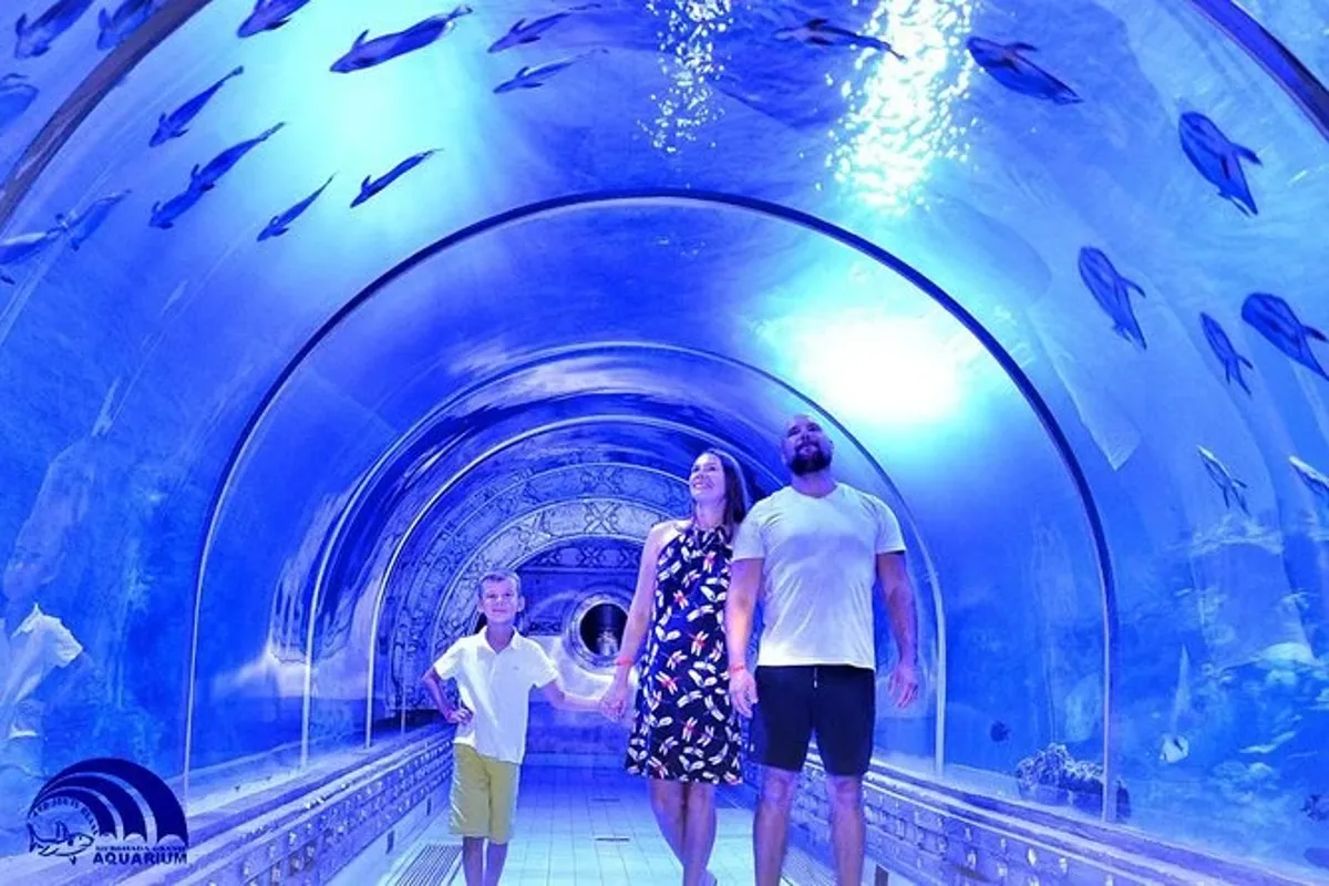 Grand Aquarium Hurghada Meeresleben Tour