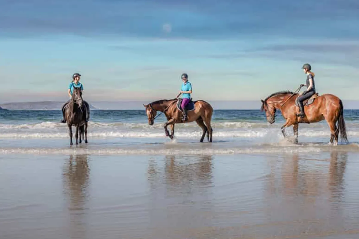 Reiten am Strand und in der Wüste Hurghada