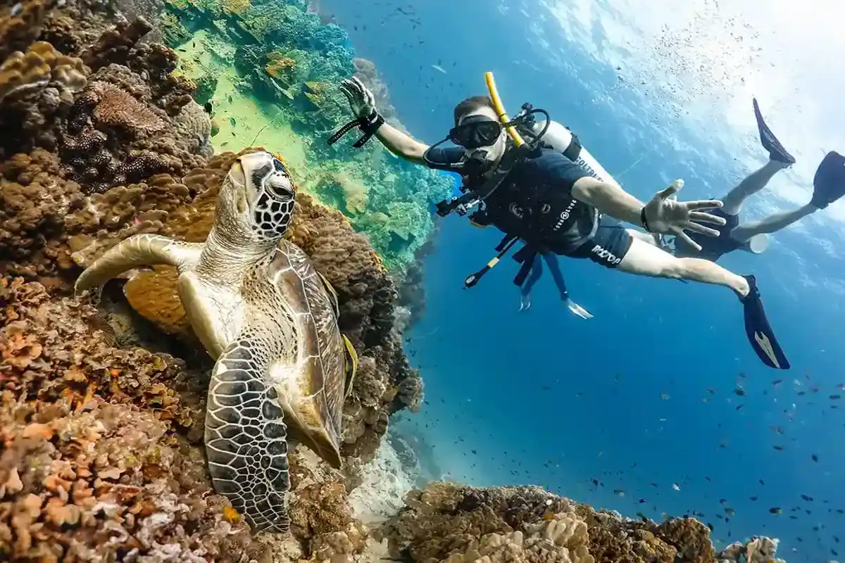 Tauchen im Roten Meer Hurghada – Korallenriffe und Unterwasserwelt